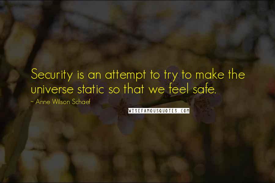 Anne Wilson Schaef Quotes: Security is an attempt to try to make the universe static so that we feel safe.