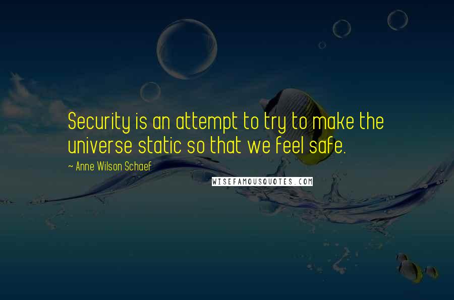 Anne Wilson Schaef Quotes: Security is an attempt to try to make the universe static so that we feel safe.