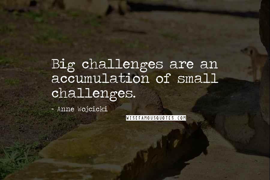 Anne Wojcicki Quotes: Big challenges are an accumulation of small challenges.