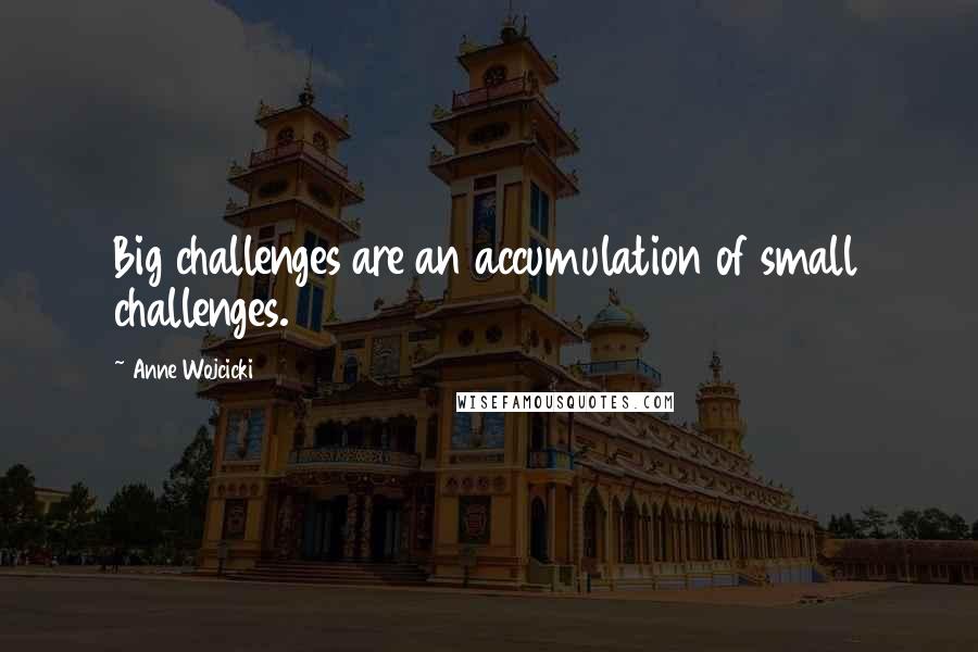 Anne Wojcicki Quotes: Big challenges are an accumulation of small challenges.