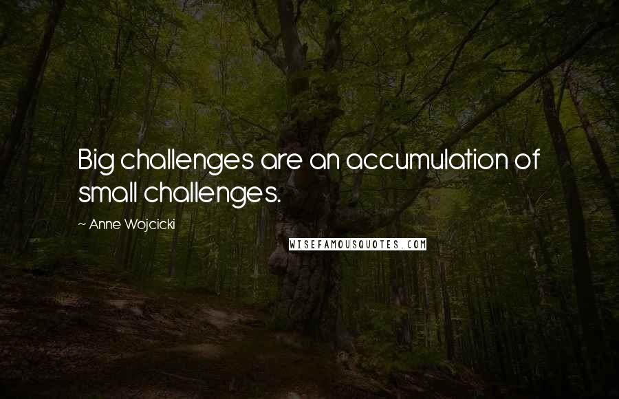 Anne Wojcicki Quotes: Big challenges are an accumulation of small challenges.