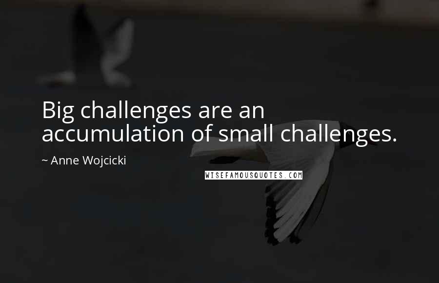 Anne Wojcicki Quotes: Big challenges are an accumulation of small challenges.