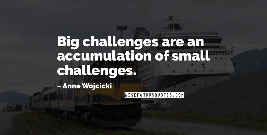 Anne Wojcicki Quotes: Big challenges are an accumulation of small challenges.