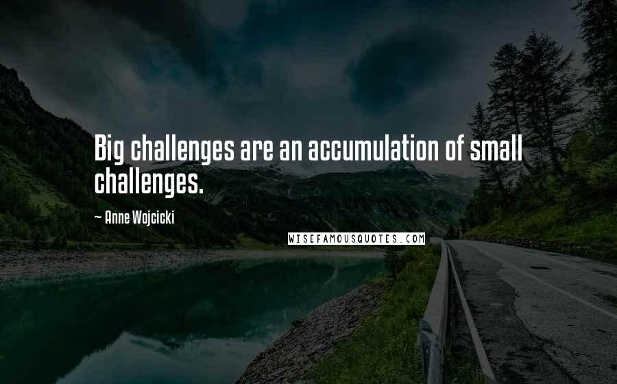 Anne Wojcicki Quotes: Big challenges are an accumulation of small challenges.