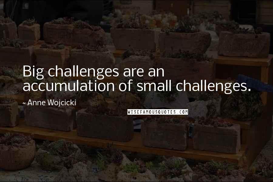 Anne Wojcicki Quotes: Big challenges are an accumulation of small challenges.