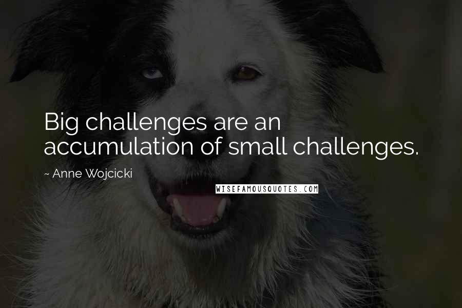 Anne Wojcicki Quotes: Big challenges are an accumulation of small challenges.