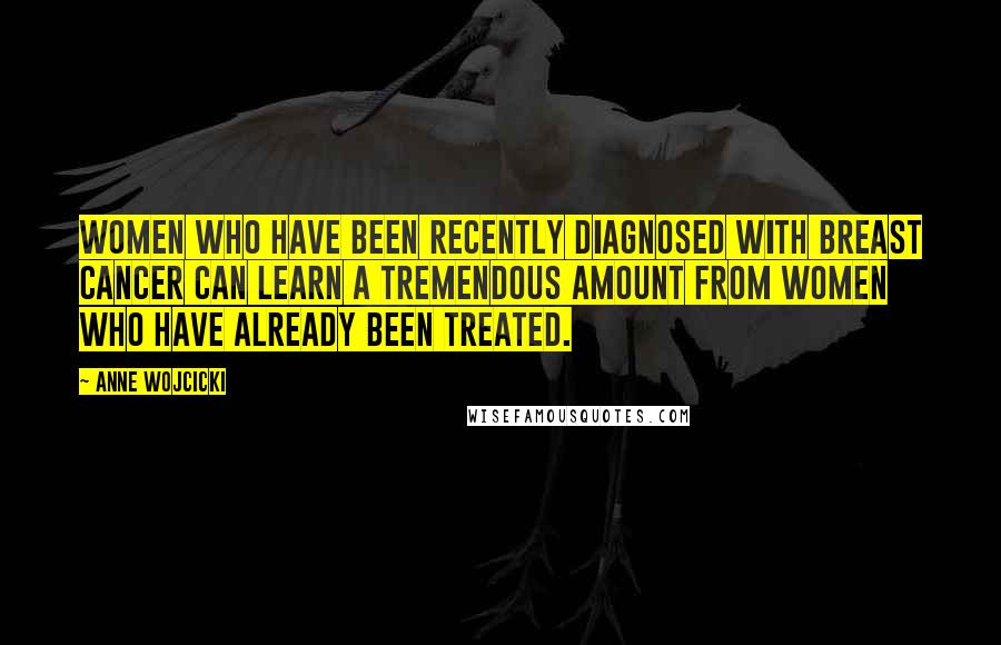 Anne Wojcicki Quotes: Women who have been recently diagnosed with breast cancer can learn a tremendous amount from women who have already been treated.