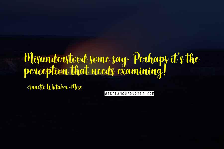 Annette Whitaker-Moss Quotes: Misunderstood some say. Perhaps it's the perception that needs examining!