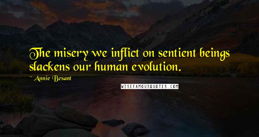 Annie Besant Quotes: The misery we inflict on sentient beings slackens our human evolution.