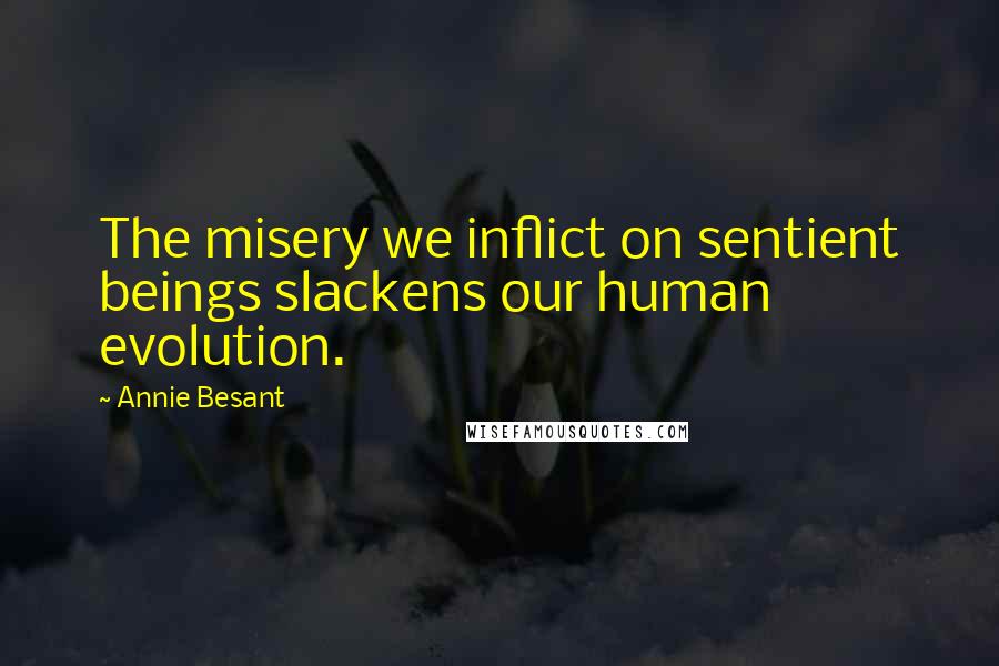 Annie Besant Quotes: The misery we inflict on sentient beings slackens our human evolution.