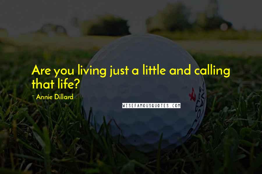 Annie Dillard Quotes: Are you living just a little and calling that life?
