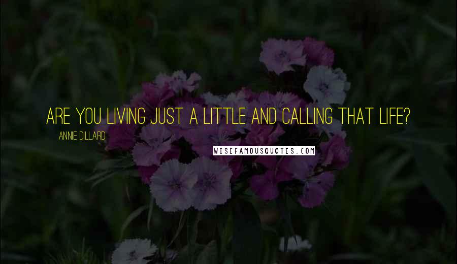 Annie Dillard Quotes: Are you living just a little and calling that life?