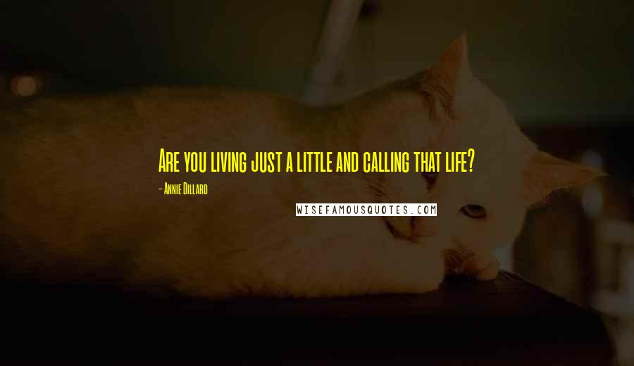 Annie Dillard Quotes: Are you living just a little and calling that life?