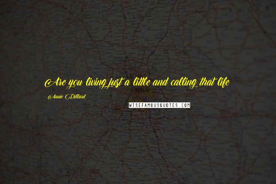 Annie Dillard Quotes: Are you living just a little and calling that life?