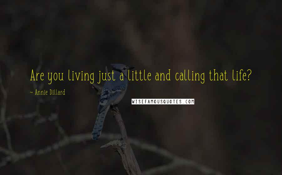 Annie Dillard Quotes: Are you living just a little and calling that life?