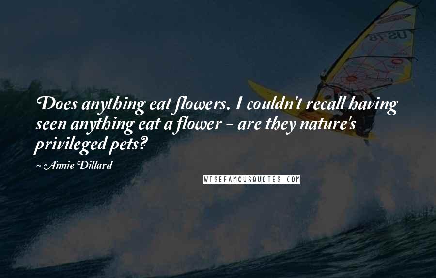 Annie Dillard Quotes: Does anything eat flowers. I couldn't recall having seen anything eat a flower - are they nature's privileged pets?