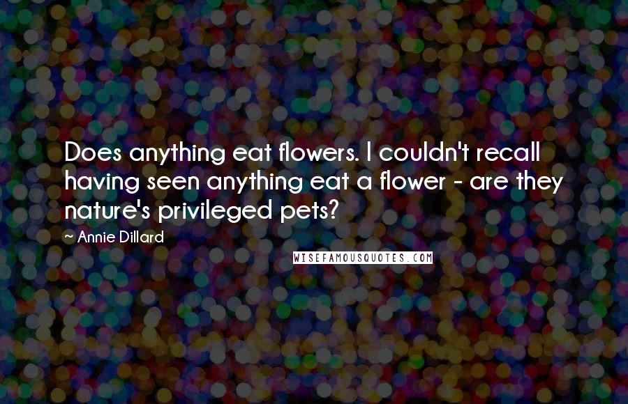 Annie Dillard Quotes: Does anything eat flowers. I couldn't recall having seen anything eat a flower - are they nature's privileged pets?