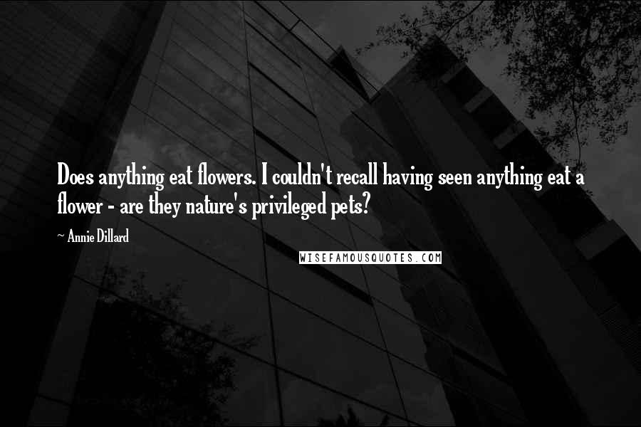 Annie Dillard Quotes: Does anything eat flowers. I couldn't recall having seen anything eat a flower - are they nature's privileged pets?
