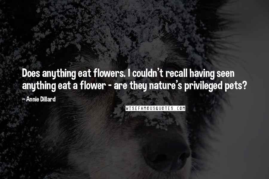 Annie Dillard Quotes: Does anything eat flowers. I couldn't recall having seen anything eat a flower - are they nature's privileged pets?