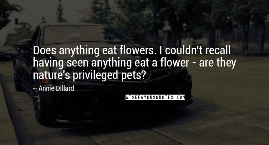 Annie Dillard Quotes: Does anything eat flowers. I couldn't recall having seen anything eat a flower - are they nature's privileged pets?