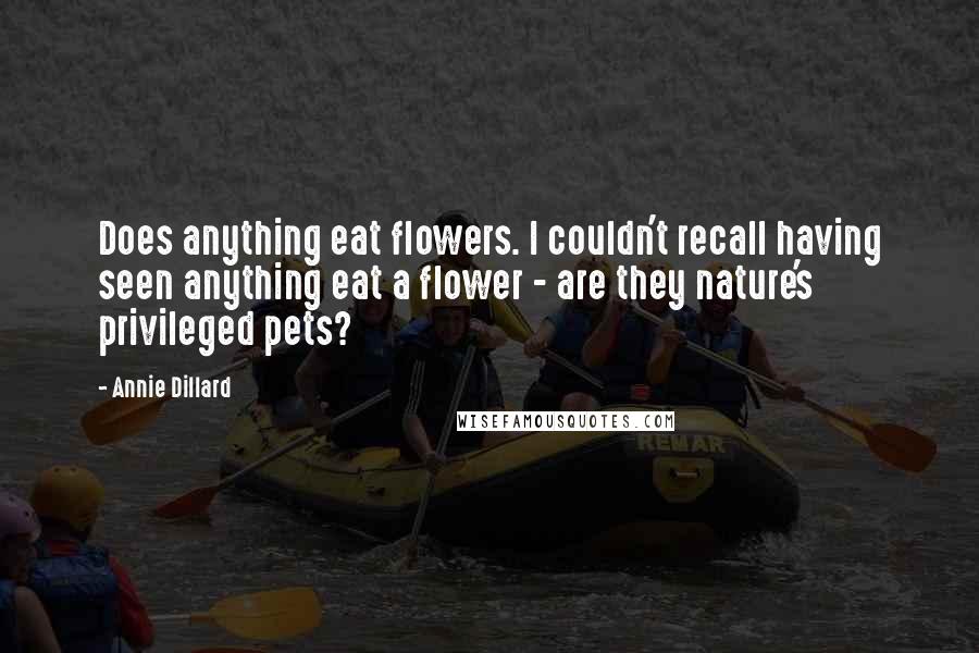 Annie Dillard Quotes: Does anything eat flowers. I couldn't recall having seen anything eat a flower - are they nature's privileged pets?