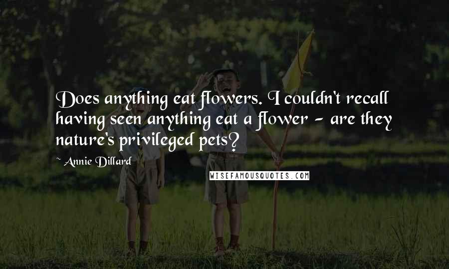 Annie Dillard Quotes: Does anything eat flowers. I couldn't recall having seen anything eat a flower - are they nature's privileged pets?