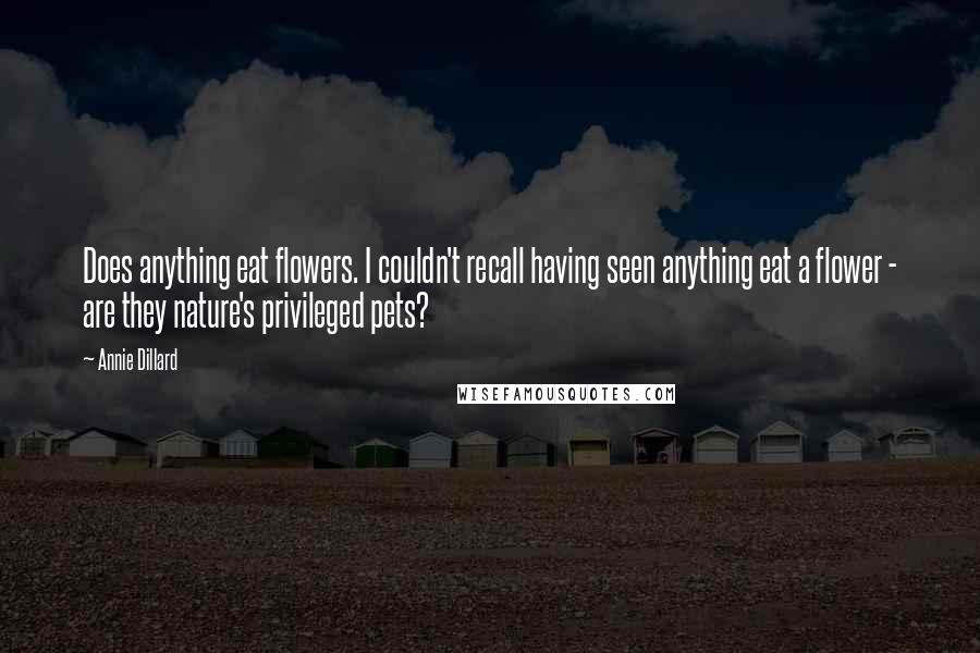 Annie Dillard Quotes: Does anything eat flowers. I couldn't recall having seen anything eat a flower - are they nature's privileged pets?