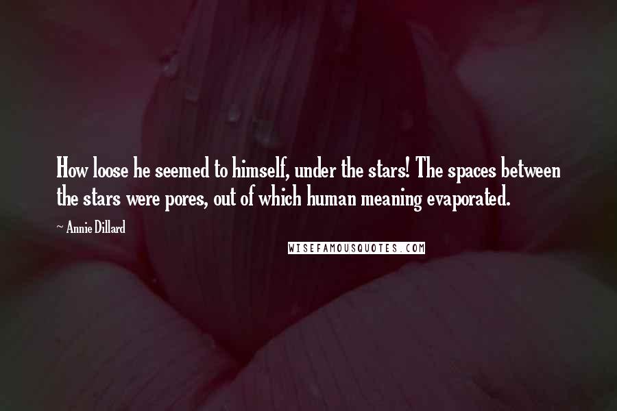 Annie Dillard Quotes: How loose he seemed to himself, under the stars! The spaces between the stars were pores, out of which human meaning evaporated.