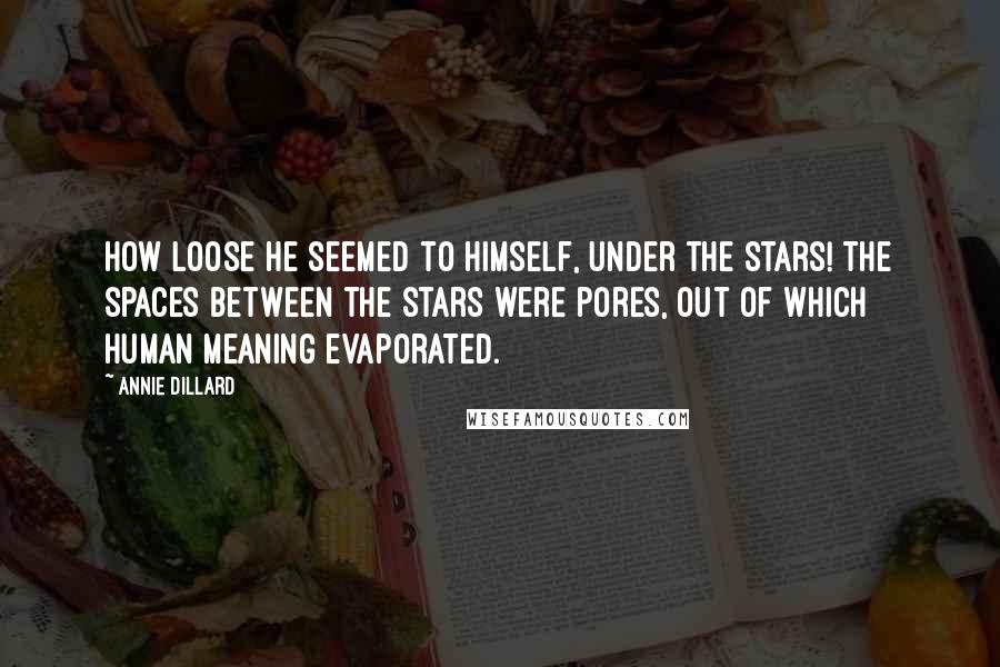 Annie Dillard Quotes: How loose he seemed to himself, under the stars! The spaces between the stars were pores, out of which human meaning evaporated.