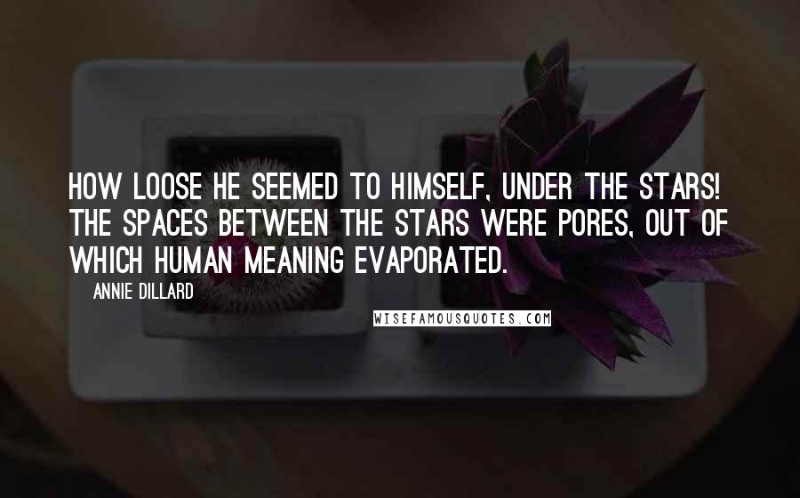 Annie Dillard Quotes: How loose he seemed to himself, under the stars! The spaces between the stars were pores, out of which human meaning evaporated.