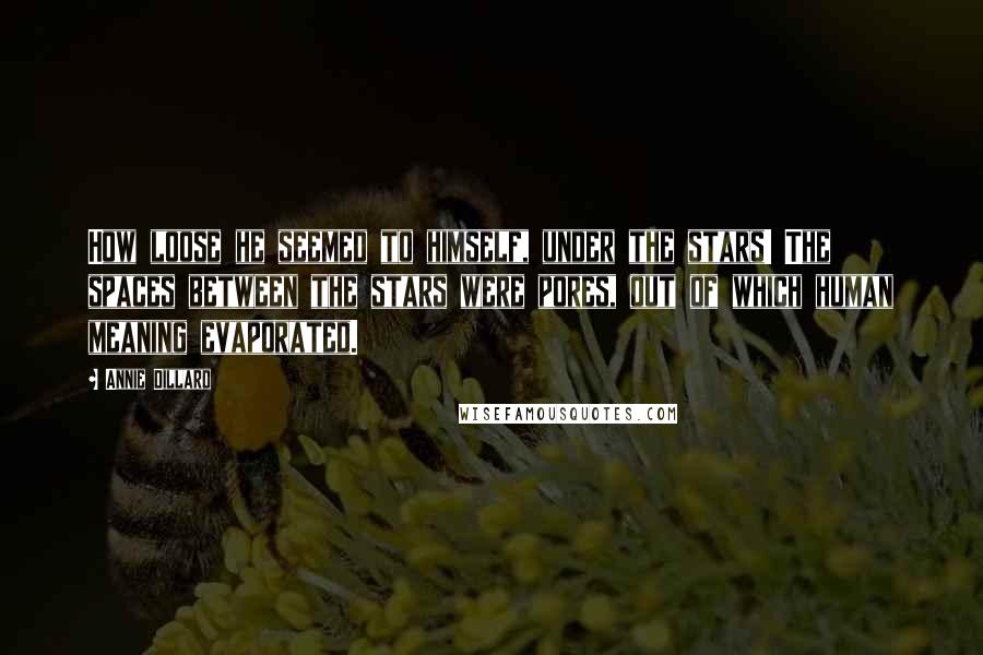 Annie Dillard Quotes: How loose he seemed to himself, under the stars! The spaces between the stars were pores, out of which human meaning evaporated.