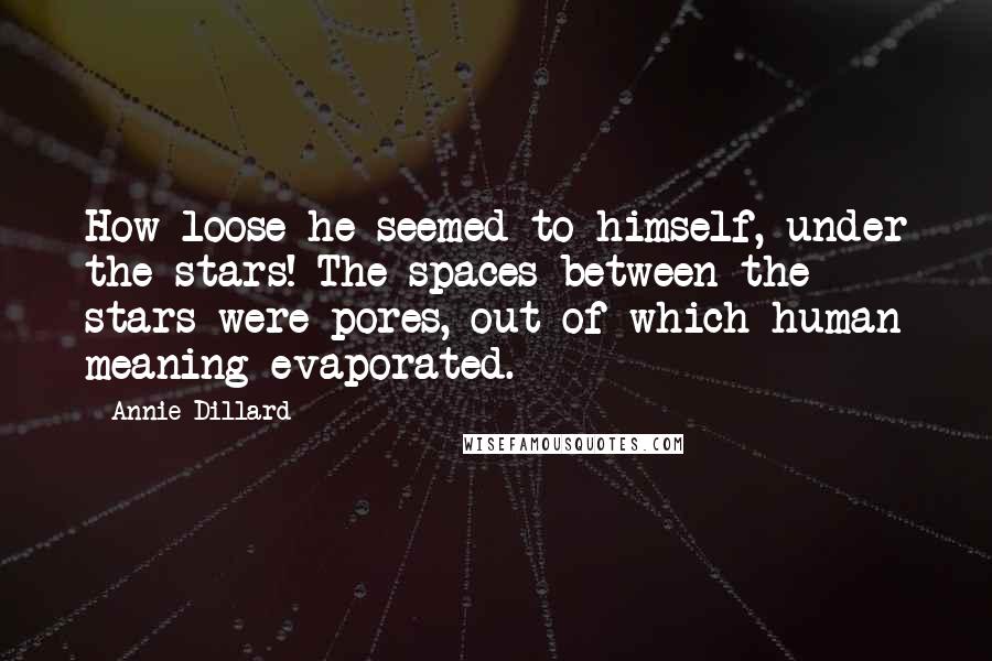 Annie Dillard Quotes: How loose he seemed to himself, under the stars! The spaces between the stars were pores, out of which human meaning evaporated.