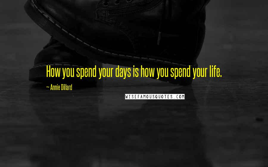 Annie Dillard Quotes: How you spend your days is how you spend your life.