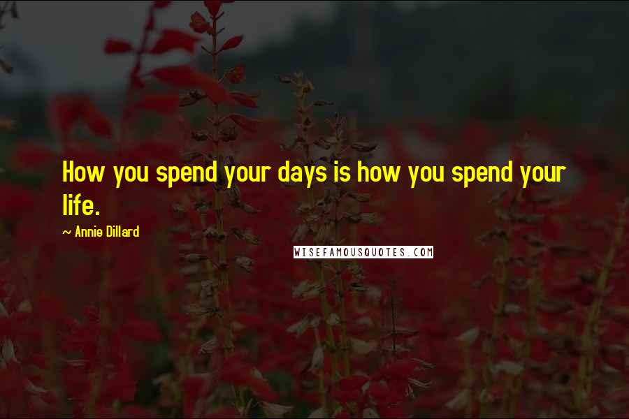 Annie Dillard Quotes: How you spend your days is how you spend your life.