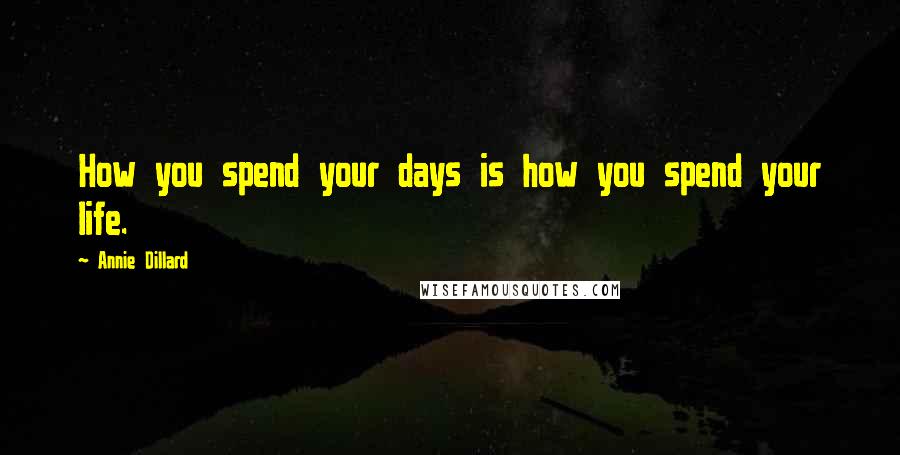 Annie Dillard Quotes: How you spend your days is how you spend your life.