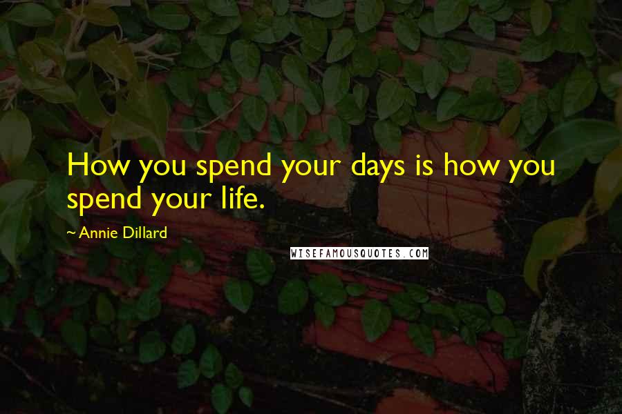 Annie Dillard Quotes: How you spend your days is how you spend your life.