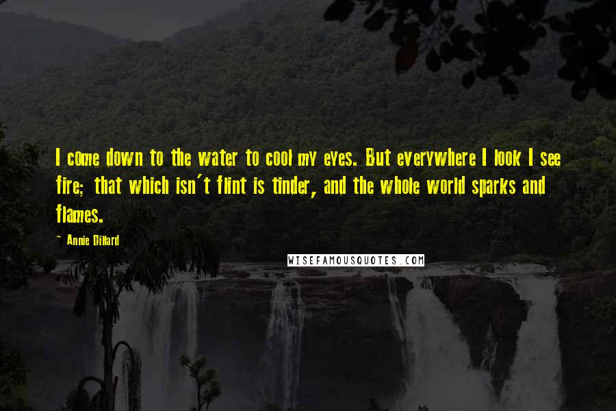 Annie Dillard Quotes: I come down to the water to cool my eyes. But everywhere I look I see fire; that which isn't flint is tinder, and the whole world sparks and flames.