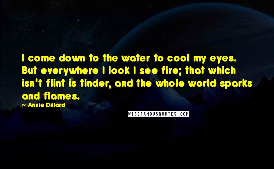 Annie Dillard Quotes: I come down to the water to cool my eyes. But everywhere I look I see fire; that which isn't flint is tinder, and the whole world sparks and flames.