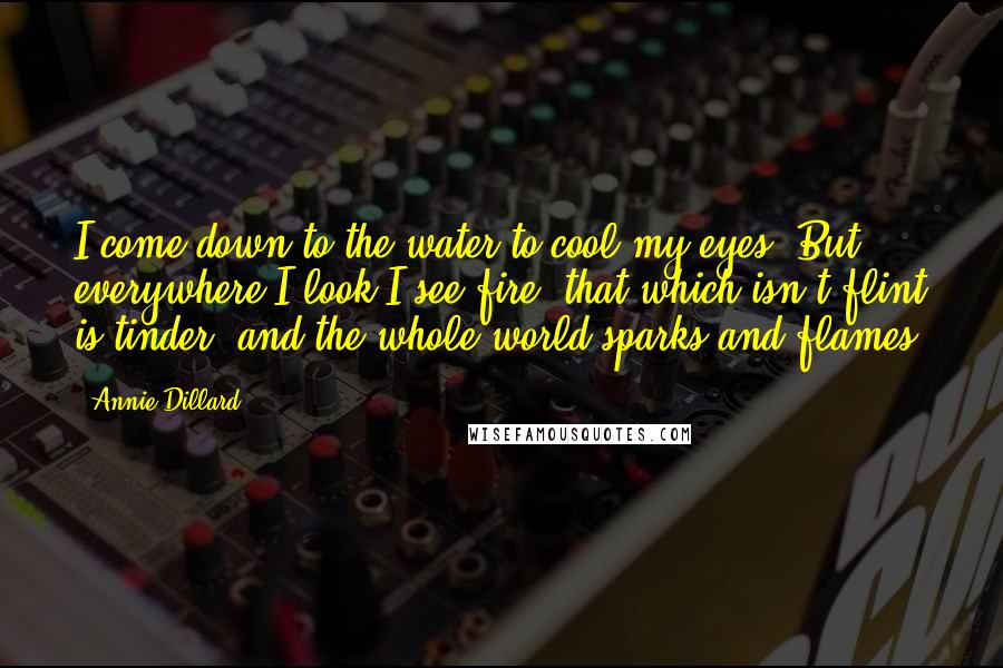 Annie Dillard Quotes: I come down to the water to cool my eyes. But everywhere I look I see fire; that which isn't flint is tinder, and the whole world sparks and flames.