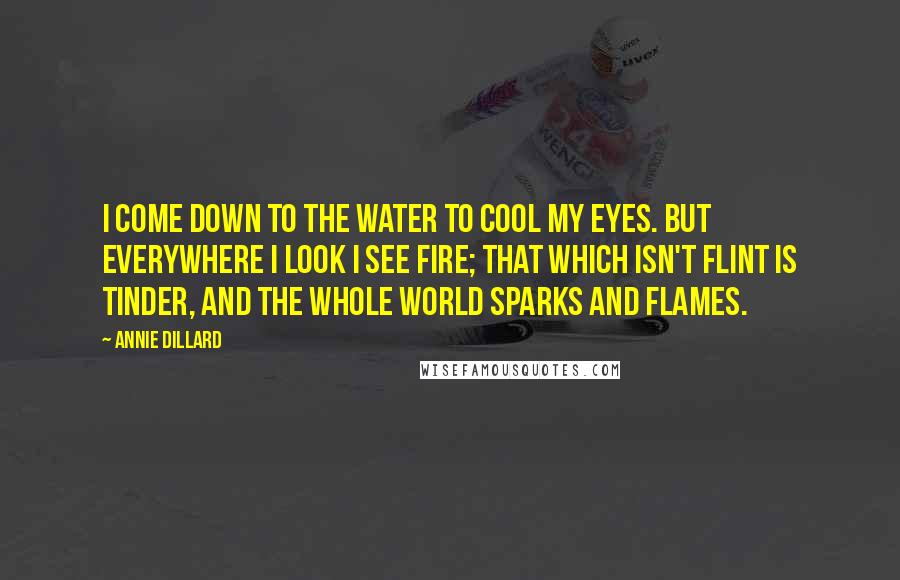 Annie Dillard Quotes: I come down to the water to cool my eyes. But everywhere I look I see fire; that which isn't flint is tinder, and the whole world sparks and flames.