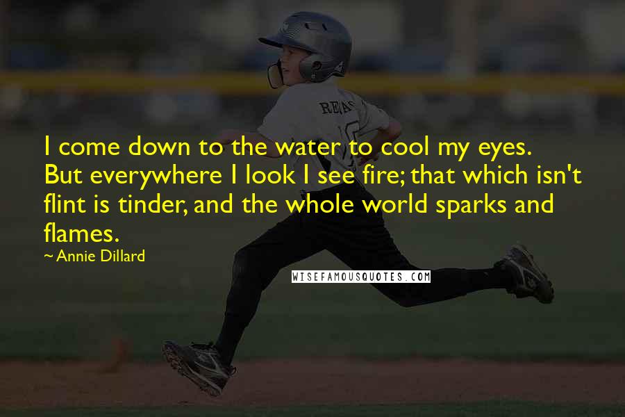 Annie Dillard Quotes: I come down to the water to cool my eyes. But everywhere I look I see fire; that which isn't flint is tinder, and the whole world sparks and flames.