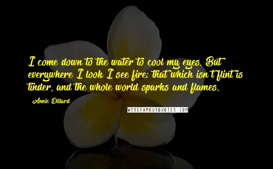 Annie Dillard Quotes: I come down to the water to cool my eyes. But everywhere I look I see fire; that which isn't flint is tinder, and the whole world sparks and flames.