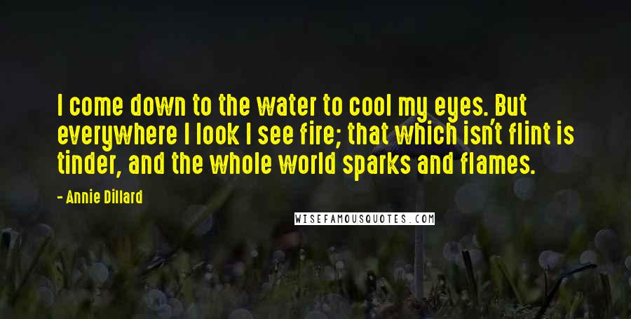 Annie Dillard Quotes: I come down to the water to cool my eyes. But everywhere I look I see fire; that which isn't flint is tinder, and the whole world sparks and flames.