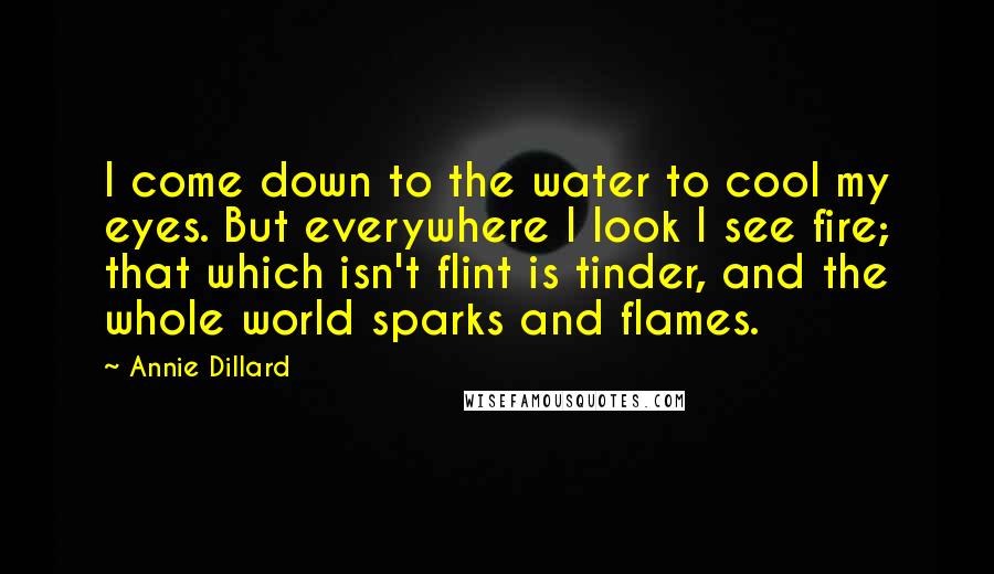 Annie Dillard Quotes: I come down to the water to cool my eyes. But everywhere I look I see fire; that which isn't flint is tinder, and the whole world sparks and flames.