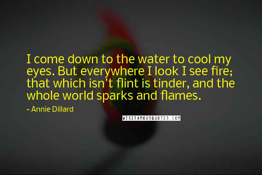 Annie Dillard Quotes: I come down to the water to cool my eyes. But everywhere I look I see fire; that which isn't flint is tinder, and the whole world sparks and flames.