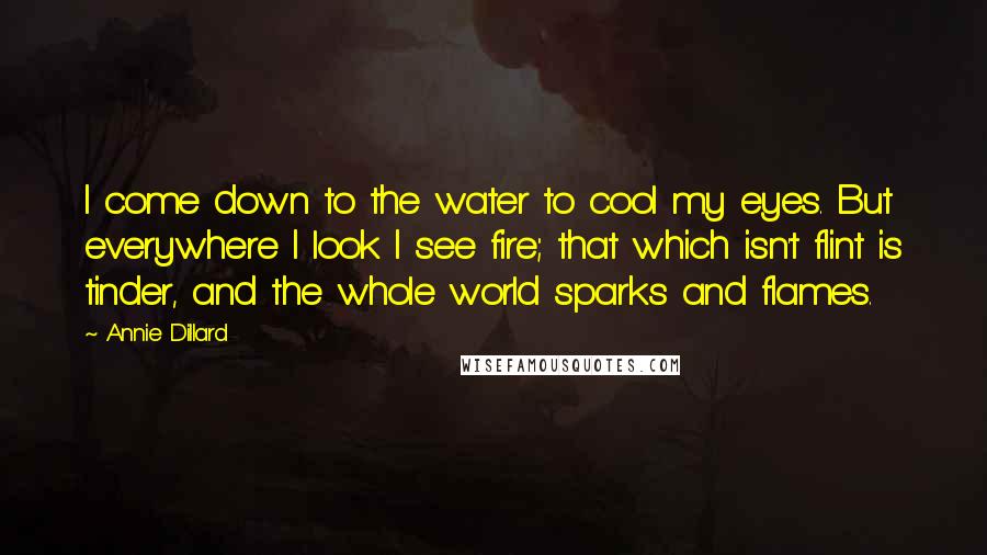 Annie Dillard Quotes: I come down to the water to cool my eyes. But everywhere I look I see fire; that which isn't flint is tinder, and the whole world sparks and flames.