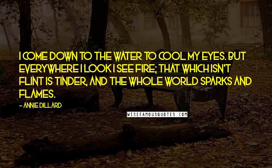 Annie Dillard Quotes: I come down to the water to cool my eyes. But everywhere I look I see fire; that which isn't flint is tinder, and the whole world sparks and flames.