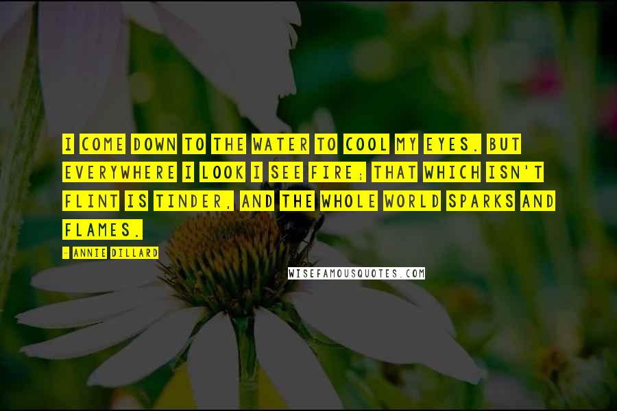 Annie Dillard Quotes: I come down to the water to cool my eyes. But everywhere I look I see fire; that which isn't flint is tinder, and the whole world sparks and flames.