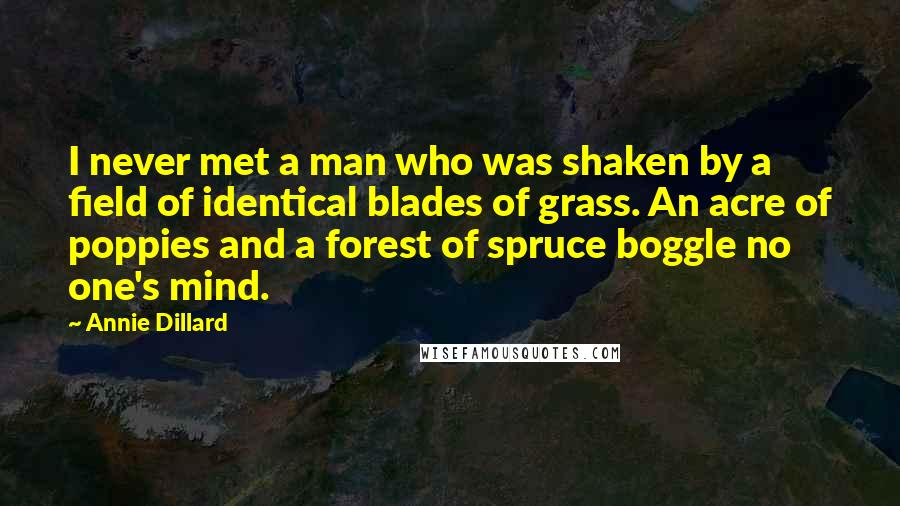 Annie Dillard Quotes: I never met a man who was shaken by a field of identical blades of grass. An acre of poppies and a forest of spruce boggle no one's mind.