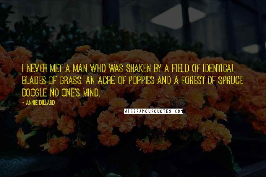 Annie Dillard Quotes: I never met a man who was shaken by a field of identical blades of grass. An acre of poppies and a forest of spruce boggle no one's mind.